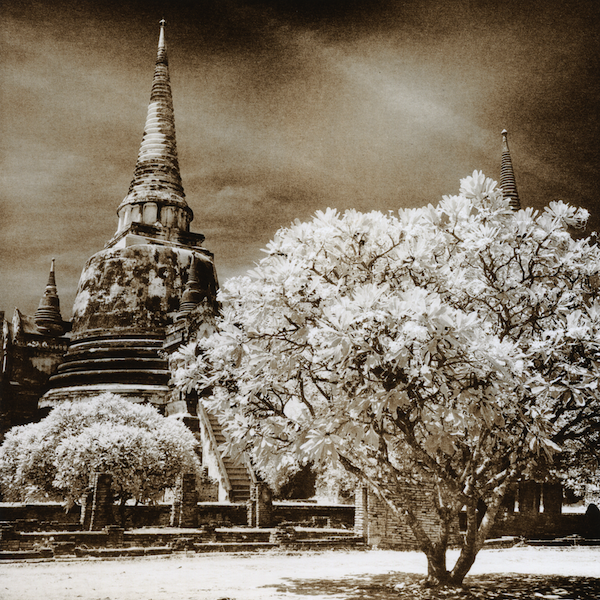 ayutthaya2008_fortezo_selenium